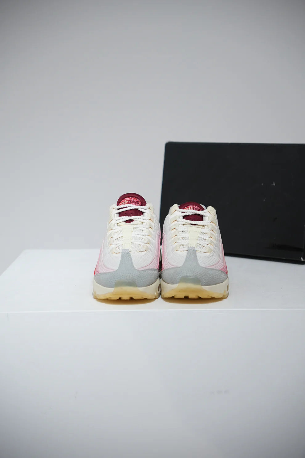 Air Max 95 Anatomy Of Air (Taille 36)