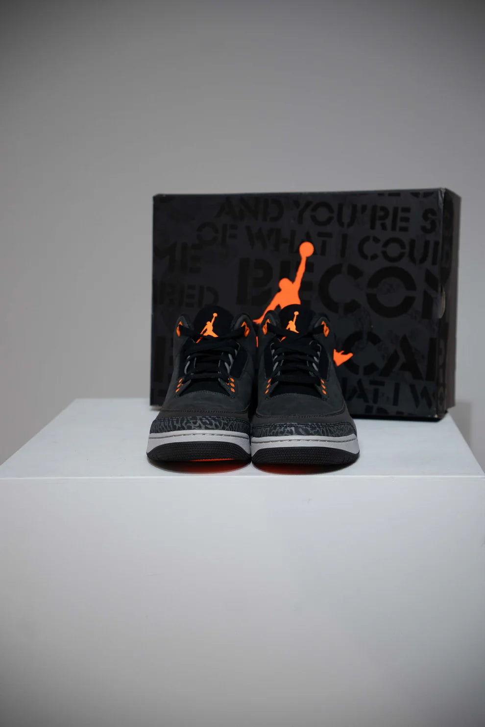 Jordan 3 Fear Pack (Taille 40)
