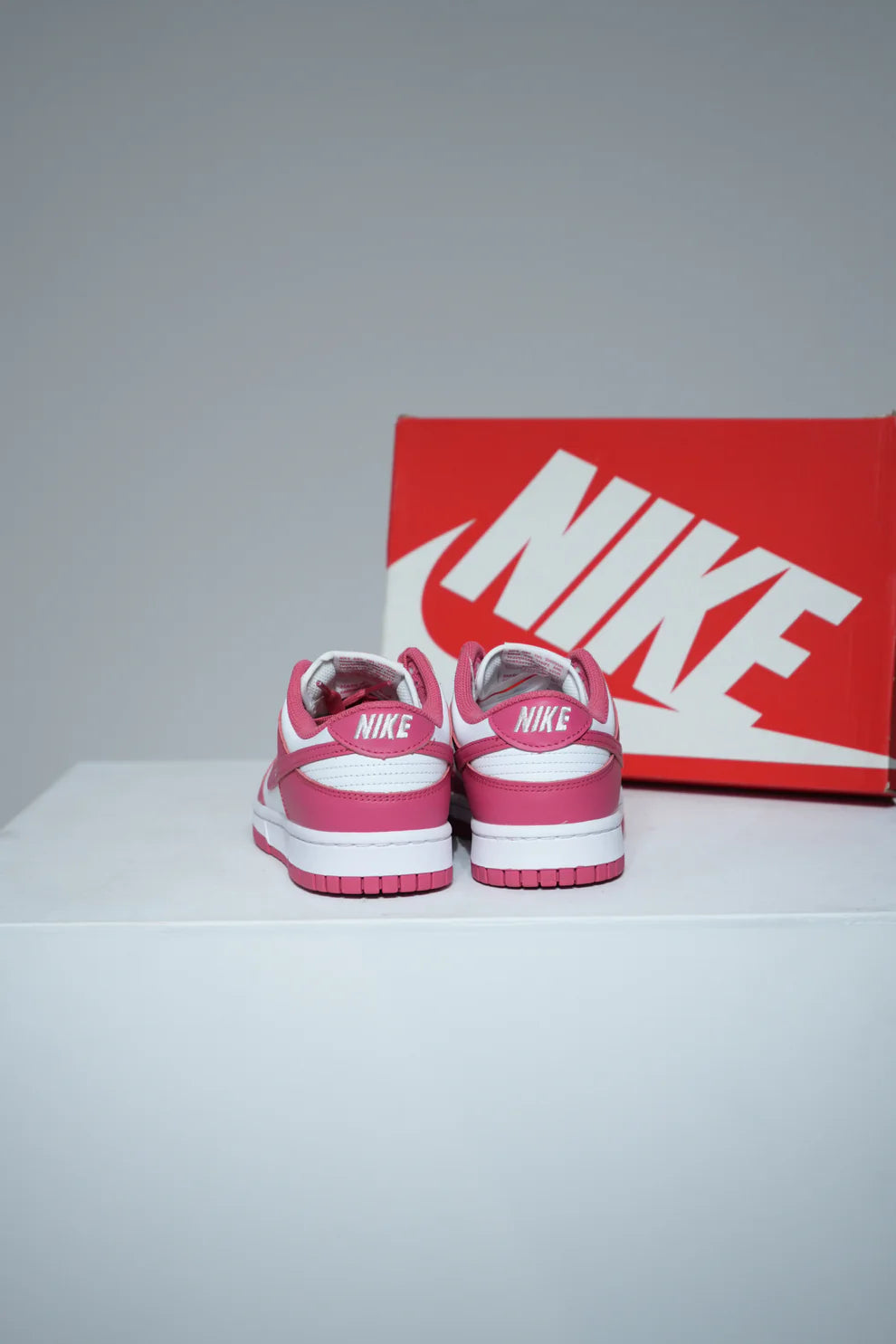 Dunk Low Archeo Pink (Taille 41)